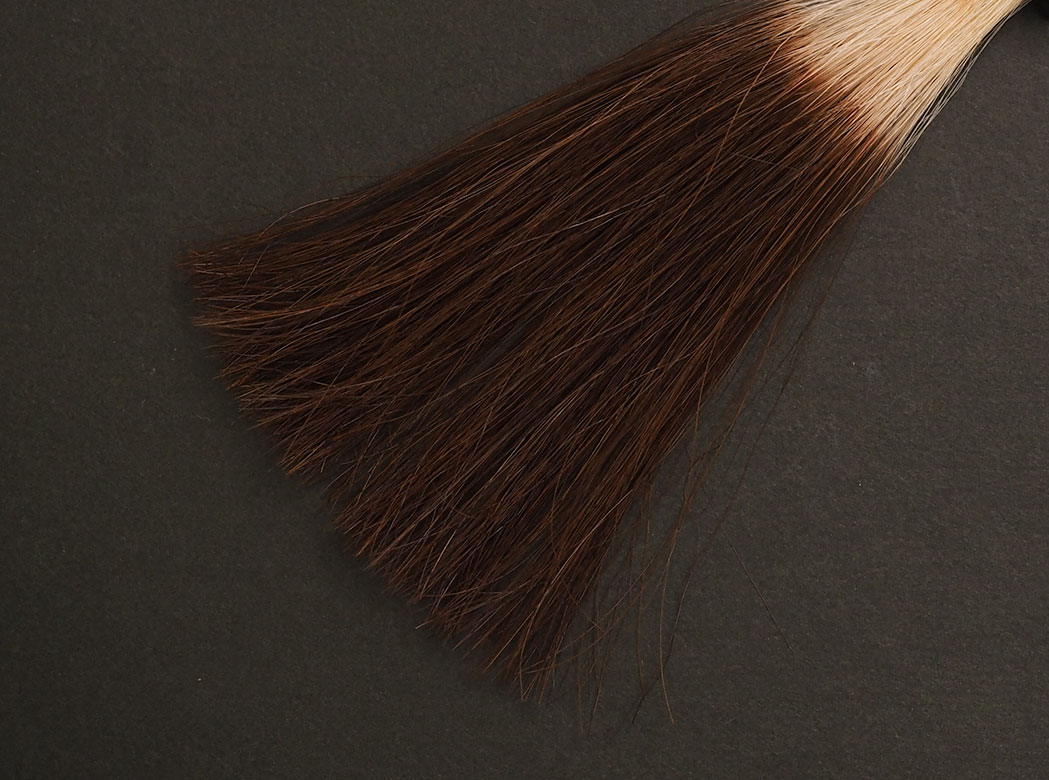 サイオス カラートリートメント ライトブラウン5回染毛時