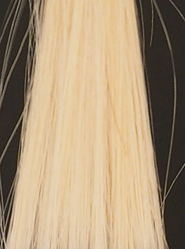 ホワイトブリーチ