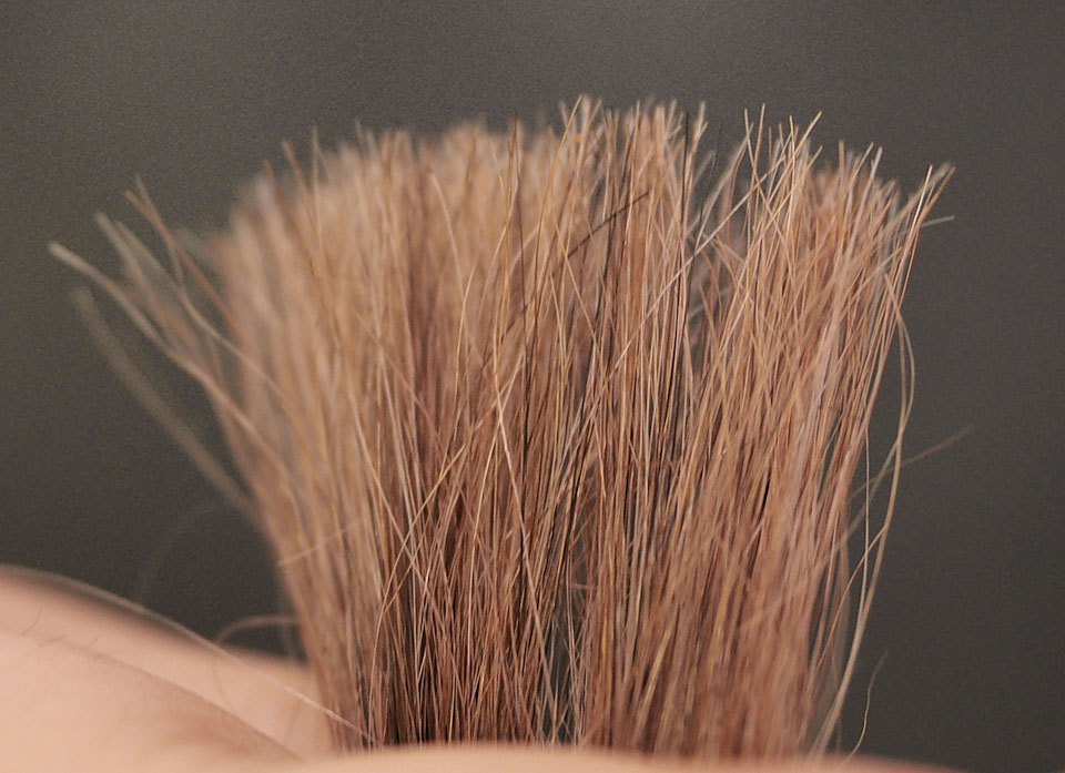 昆布の白髪用シャンプーブラウンの染毛写真