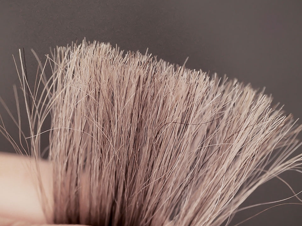 ディアエイジQ10カラーシャンプーブラウンの染毛写真