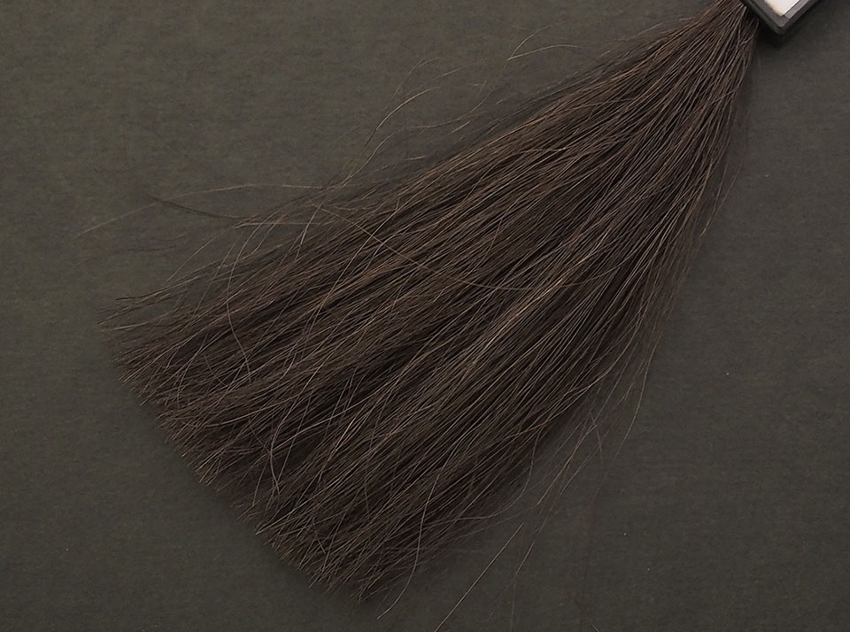 レセ カラートリートメント ダークブラウン5回染毛時