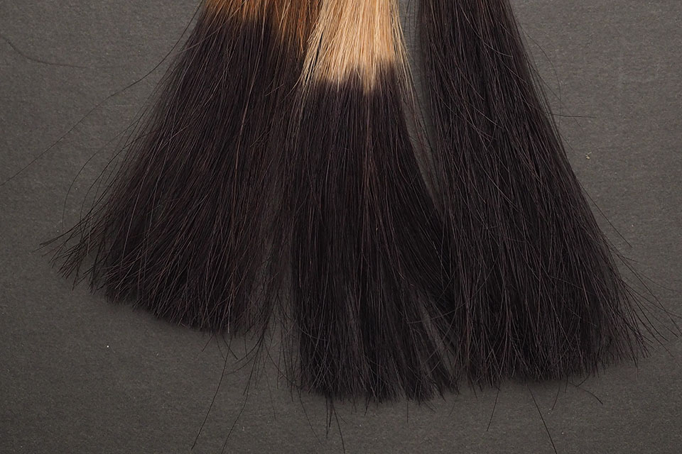 ヘアージュダークブラウンでブリーチ毛・ハイブリーチ毛・黒髪を染めて比較