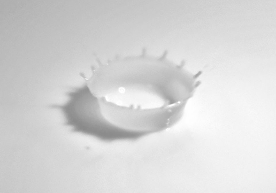 ミルククラウンの画像