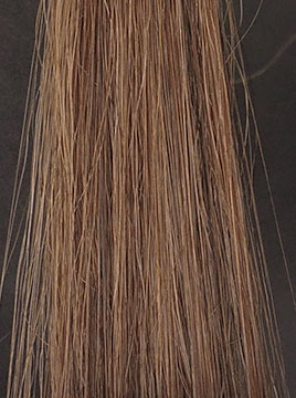 LPLP ヘアカラーフォームダークブラウン15分染毛2回目