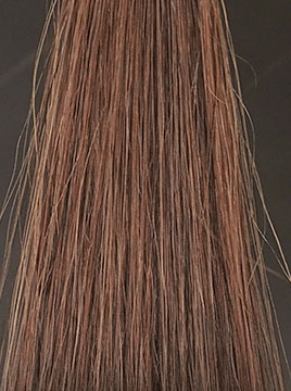 LPLP ヘアカラーフォームダークブラウン15分染毛3回目