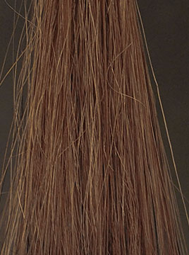 LPLP ヘアカラーフォームダークブラウン15分染毛4回目