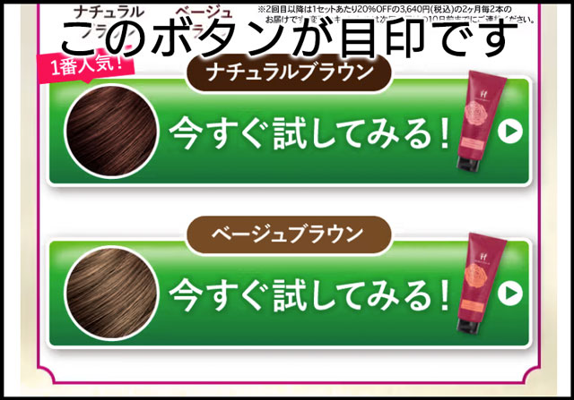 目印となるボタン