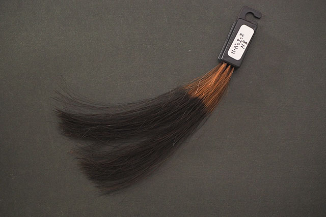 1回染毛時の仕上がり