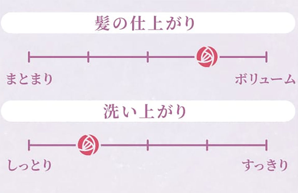 スカルプDボーテモイスト×ボリュームの仕上がり指標
