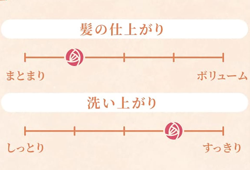 スカルプDボーテボリューム×モイストの仕上がり指標