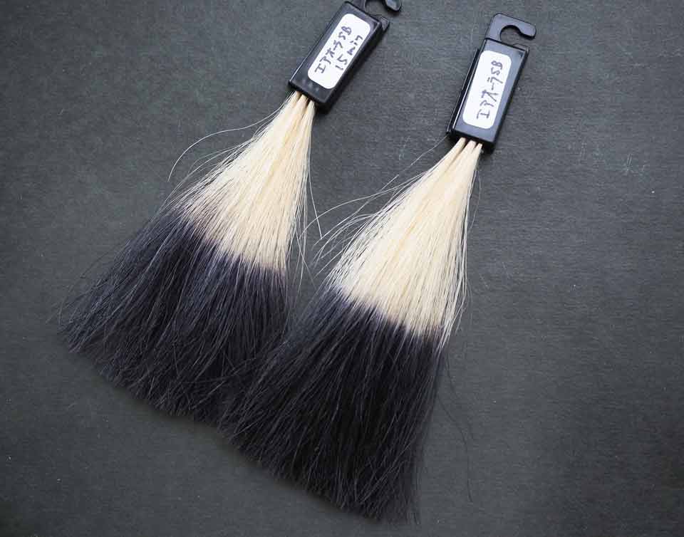 15分と30分の染まり比較