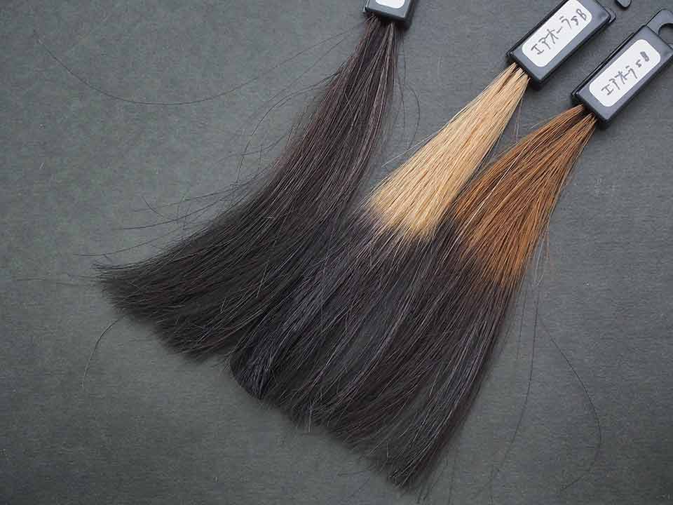 黒髪、ブリーチ、ハイブリーチの比較