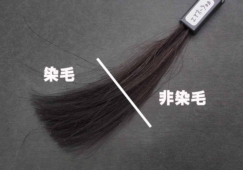 黒髪の染毛結果