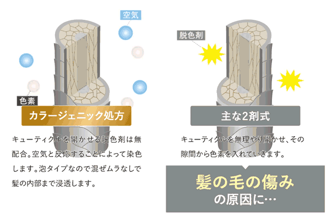 エアオーラの染毛メカニズム