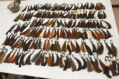 染毛テスト結果