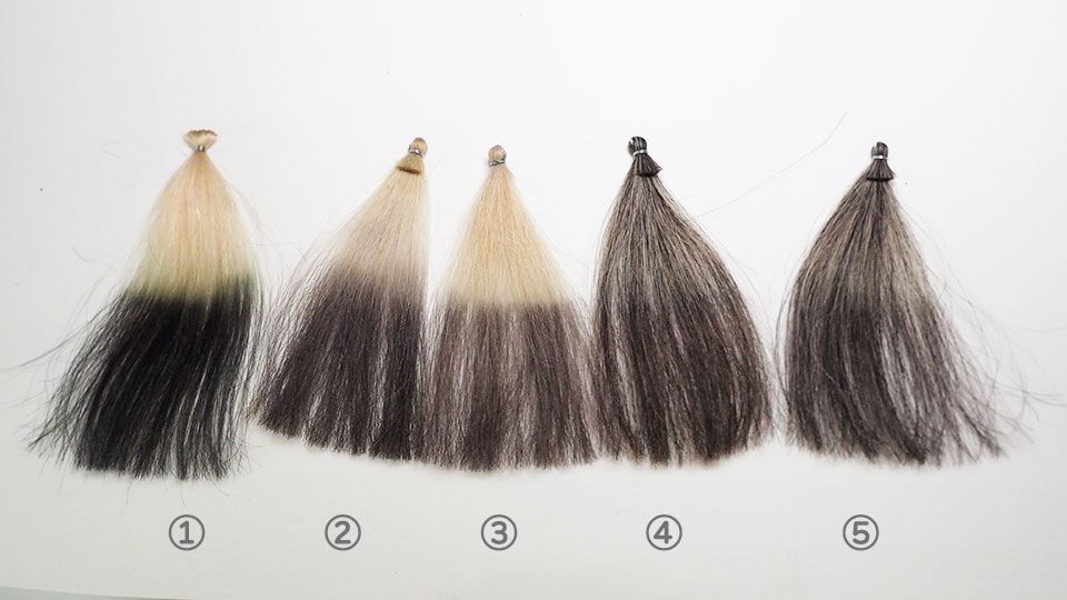 5種の毛束