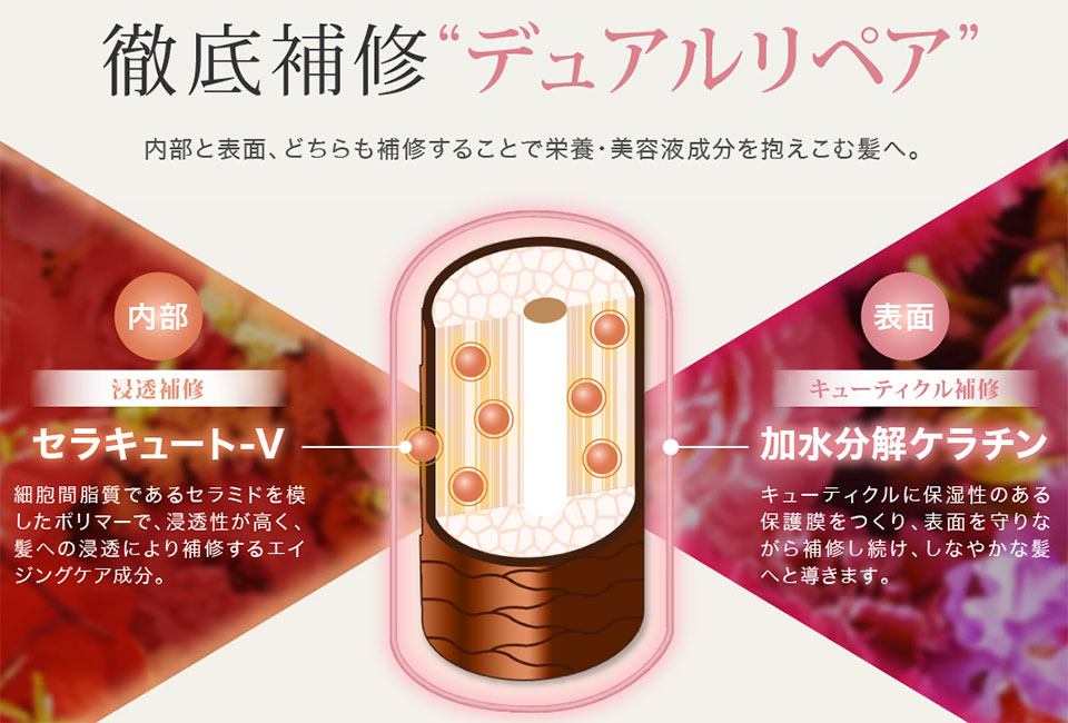 カラーケアシャンプー独自成分解説