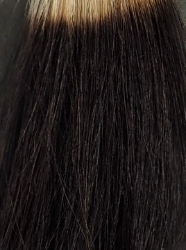 ミープラスで 100%白髪を5回染毛(15分)