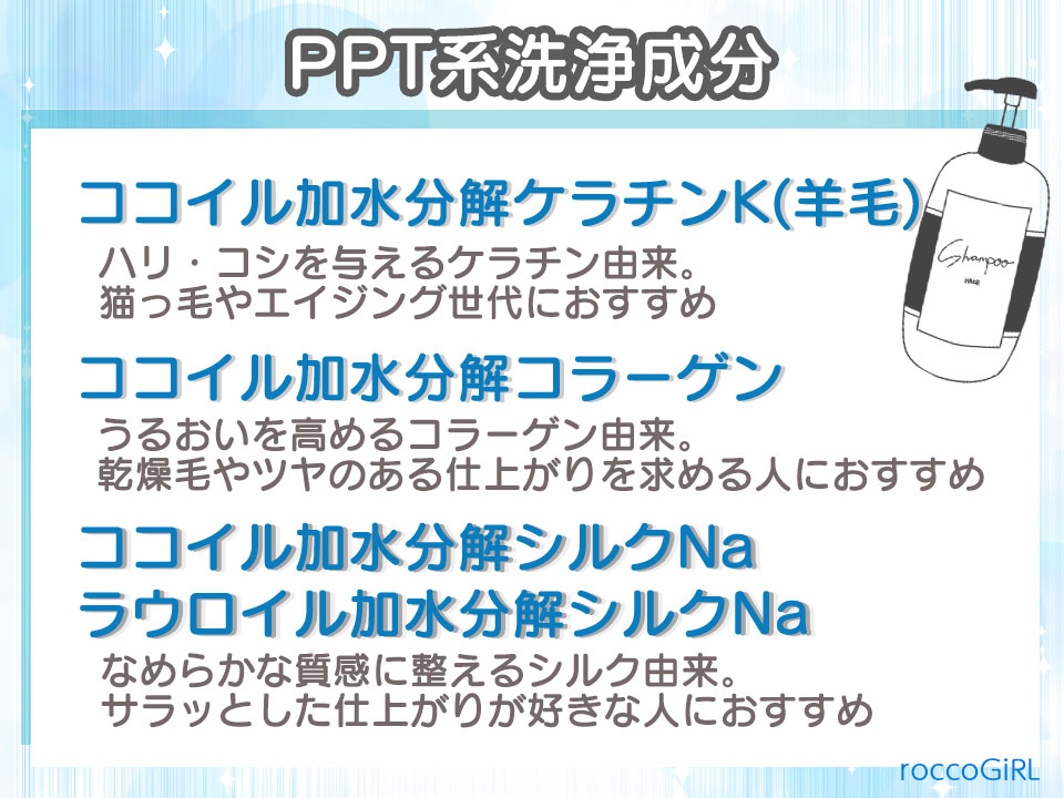 PPT系洗浄成分の詳細を説明している画像