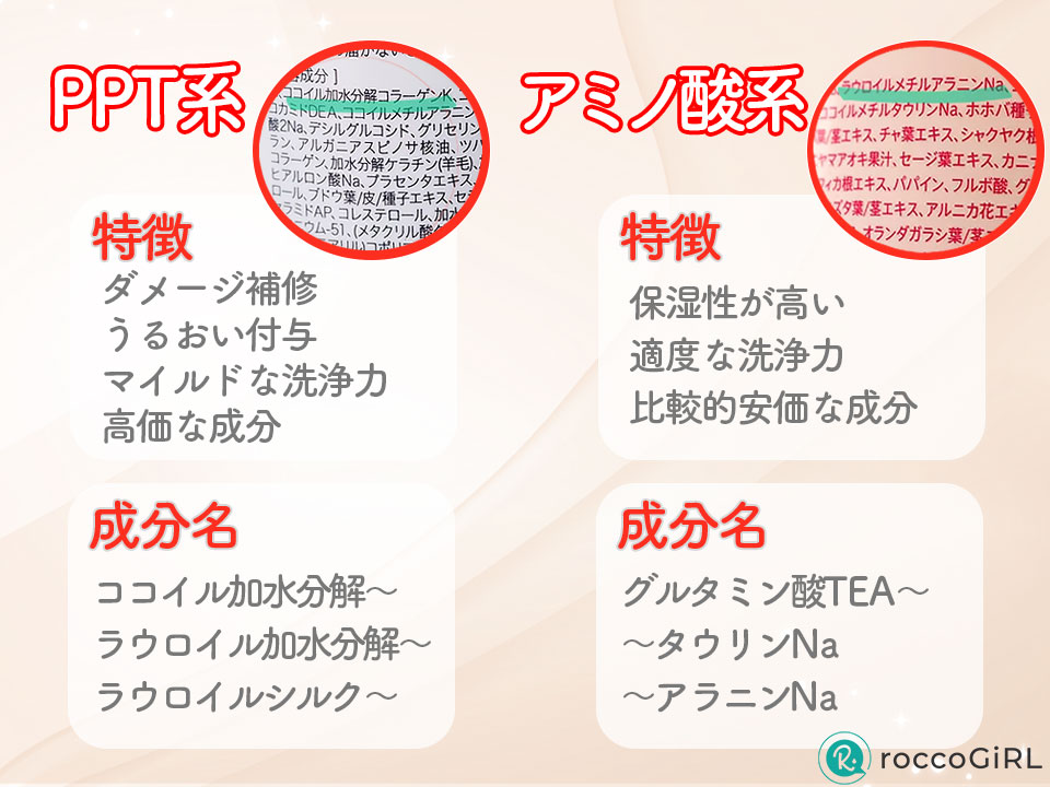 PPT系洗浄成分とアミノ酸系洗浄成分の特徴画像