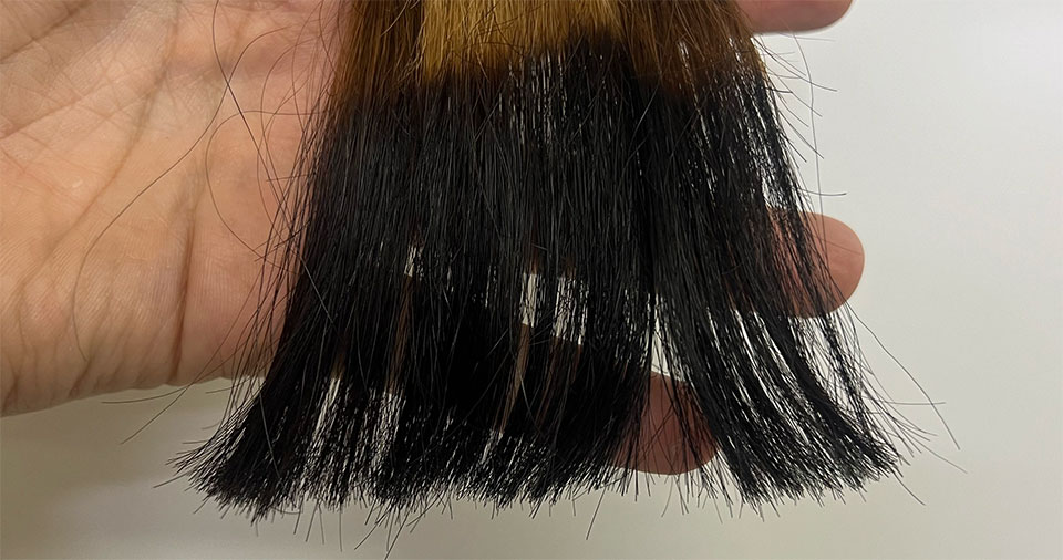 ミープラスライトブラウンとダークブラウンの比較