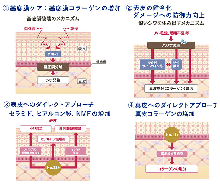 ライスパワーNO11+肌イラスト