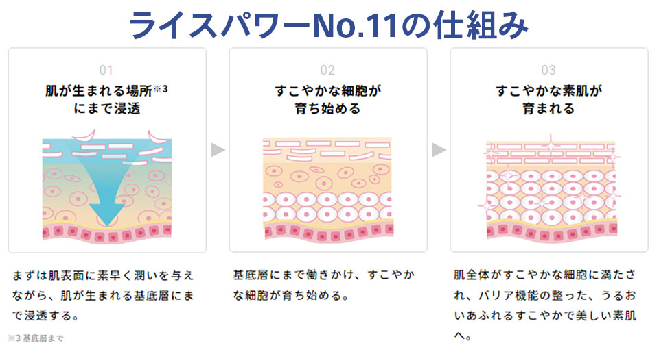 ライスパワーNo11の仕組み