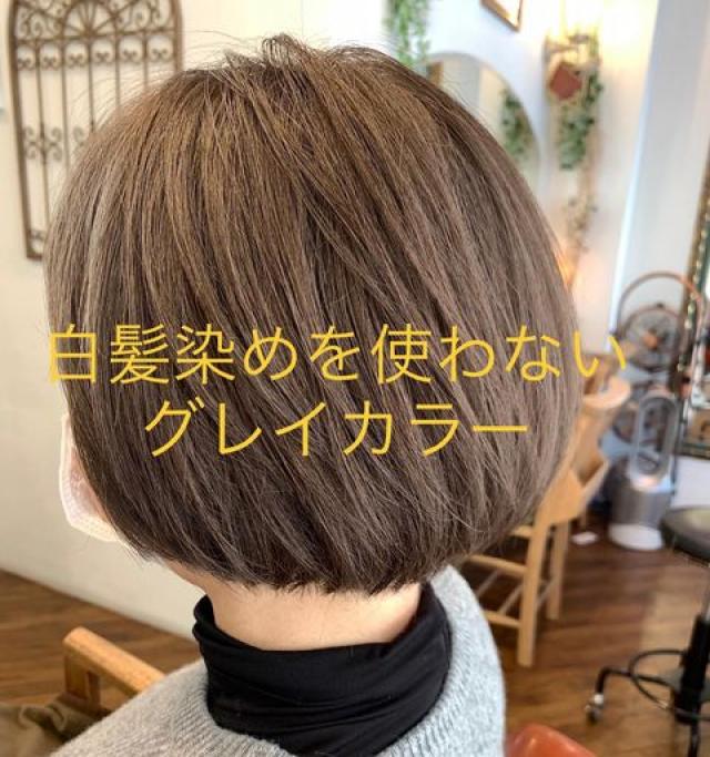 白髪染めでもアッシュにする方法や市販で買えるおすすめアイテムをご紹介 Roccogirl 白髪染めでもアッシュにする方法や市販で買えるおすすめアイテムをご紹介 Roccogirl